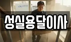 성실용달이사
