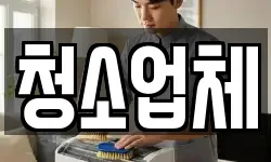 청소업체