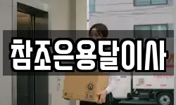 참조은용달이사