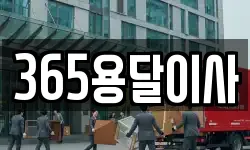 365용달이사