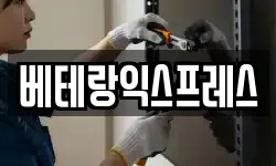 베테랑익스프레스