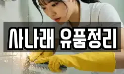 사나래 유품정리