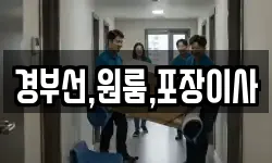 경부선,원룸,포장이사
