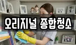 오리지널 종합청소
