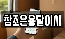 참조은용달이사