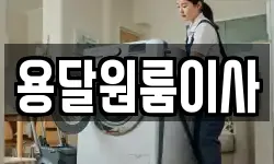 용달원룸이사