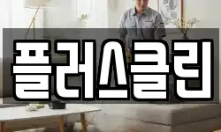 플러스클린