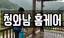 청와남 홈케어