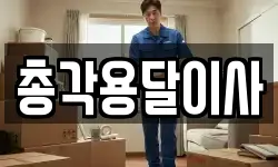 총각용달이사