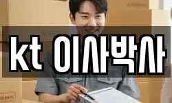 kt 이사박사
