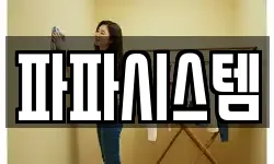파파시스템