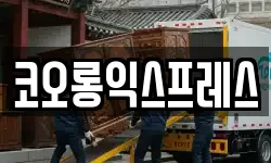 코오롱익스프레스