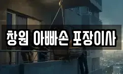 창원 아빠손 포장이사
