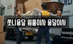 경남 창원시 성산구 상남동 이사,용달이사,포장이사,원룸이사,보관이사