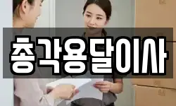 총각용달이사
