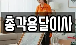 총각용달이사