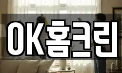 경남 창원시 성산구 성주동 청소,입주청소,사무실청소,에어컨청소
