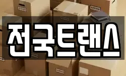 전국트랜스