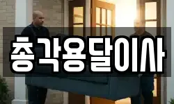 총각용달이사
