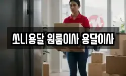 경남 창원시 성산구 이사,용달이사,포장이사,원룸이사,보관이사