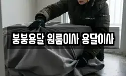 경남 창원시 성산구 안민동 이사,용달이사,포장이사,원룸이사,보관이사
