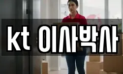 kt 이사박사