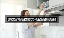 이사청소사무실청소정기청소입주청소전문업체정성클린