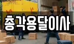 총각용달이사