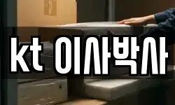kt 이사박사