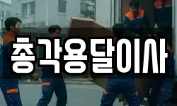 총각용달이사