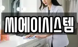 씨에이시스템