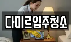 다미르입주청소