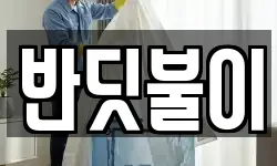 반딧불이