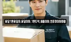 용달1톤용달차,용달이사,1톤트럭,원룸이사,반포장이사화물