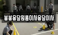붕붕용달원룸이사용달이사