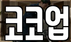 코코업