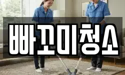 빠꼬미청소