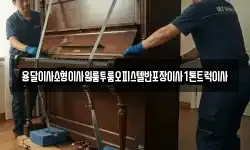 용달이사소형이사원룸투룸오피스텔반포장이사1톤트럭이사
