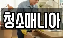 청소매니아