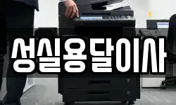 성실용달이사