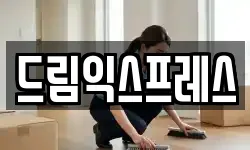 드림익스프레스