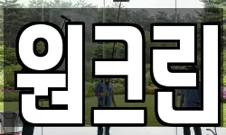 원크린