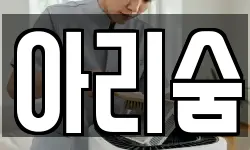 아리숨