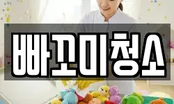 빠꼬미청소