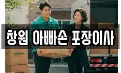 창원 아빠손 포장이사