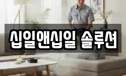 십일앤십일 솔루션