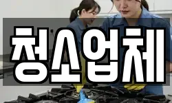청소업체