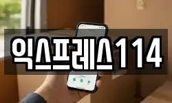 익스프레스114