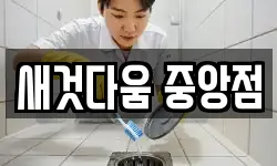 새것다움 중앙점
