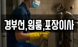 경부선,원룸,포장이사
